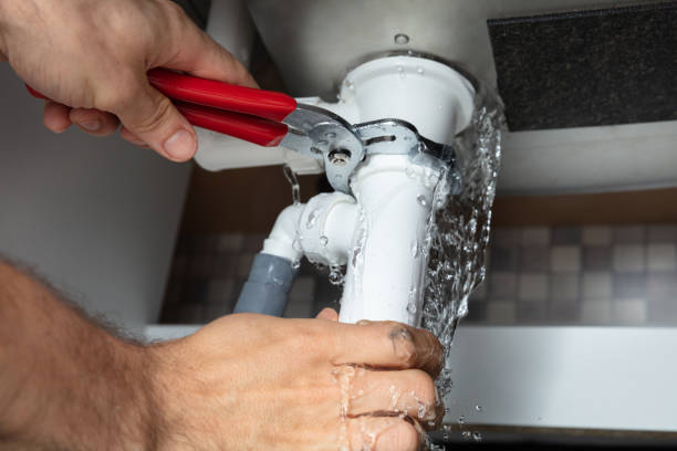 Best Water damage cleanup near me  in Sunnyside, GA