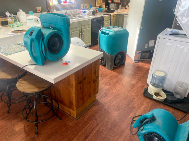 Best Flood damage cleanup  in Sunnyside, GA