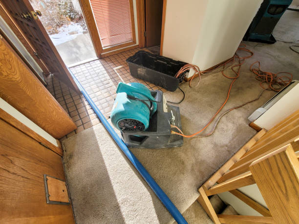Best Professional water damage repair  in Sunnyside, GA