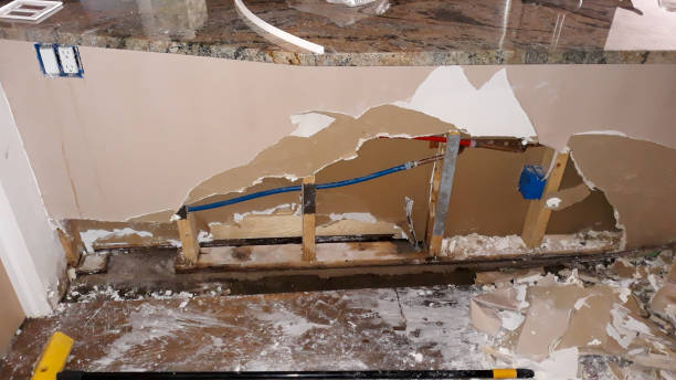 Best Professional water damage repair  in Sunnyside, GA