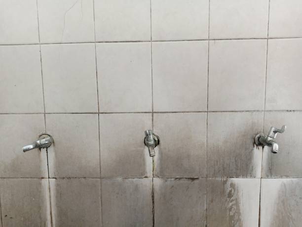 Best Mold removal after water damage  in Sunnyside, GA