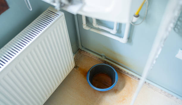 Best Ceiling water damage repair  in Sunnyside, GA