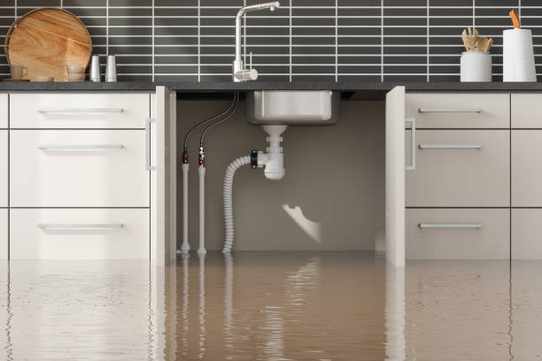 Best Carpet water damage restoration  in Sunnyside, GA