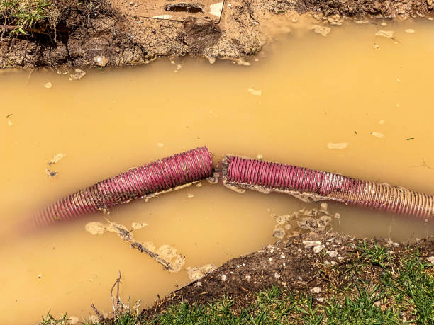 Best 24-hour water damage restoration  in Sunnyside, GA